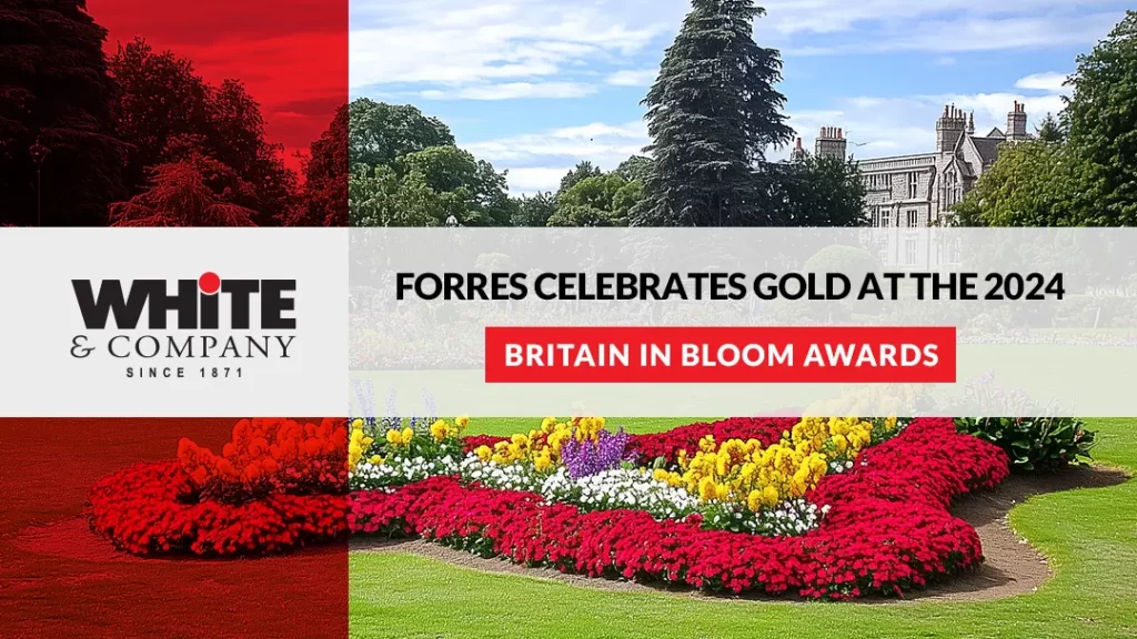 Forres Celebrates Gold at the 2024 Britain in Bloom Awards